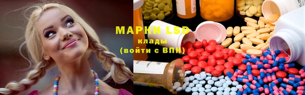 spice Бежецк